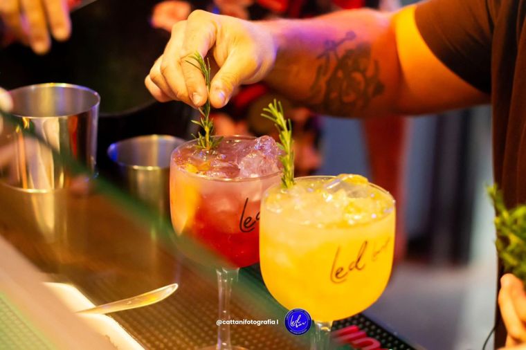 Drink/porção Led Bar